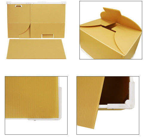 Folding / Collapsible PP Plastic Corrugated Boxes For Moving / Packing / Storage